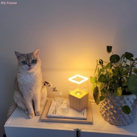 Creative Cables - Επιτραπέζιο Φωτιστικό Posaluce Cubetto