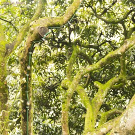 Creative Cables - Έτοιμη Γιρλάντα Lumet 12,5m Υφασμάτινο Καλώδιο Πλακέ Με 10 Μαύρα Ντουί