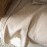 Ριχτάρι Διθέσιου 180x250cm GOFIS HOME Delia Sesame Beige 563/06