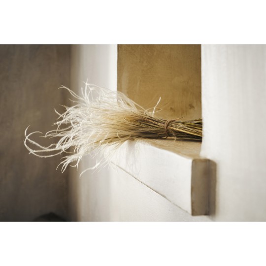 Αποξηραμένα άνθη Ύψος : 45cm, 30γρ. GOFIS HOME  Stipa Pennata  112