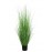 ONION GRASS TREE NP1011_120 ΥΨΟΣ 120cm NewPlan