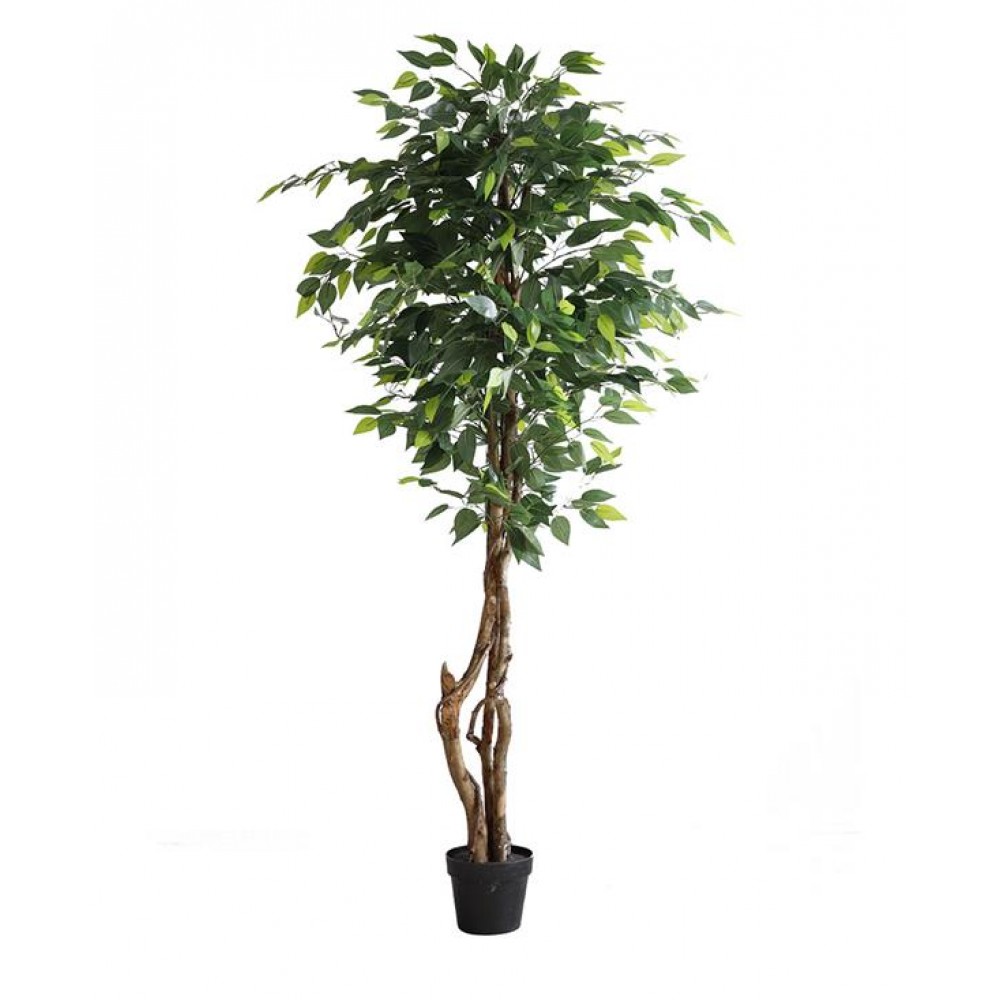 FICUS TREE NP5209_180 ΥΨΟΣ 180cm NewPlan