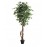 FICUS TREE NP5209_180 ΥΨΟΣ 180cm NewPlan