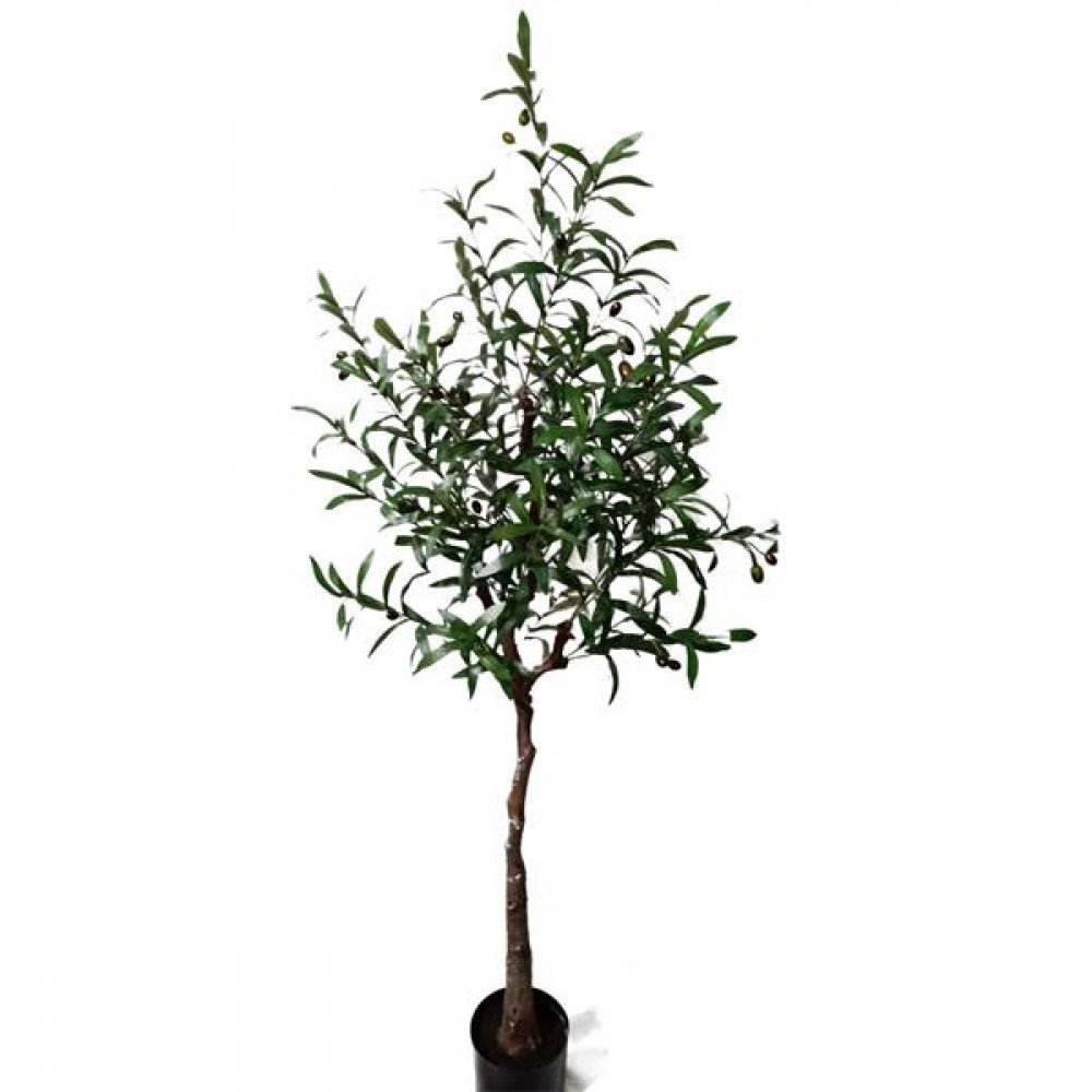 OLIVE TREE NP4817_160_22  ΥΨΟΣ 160cm NewPlan