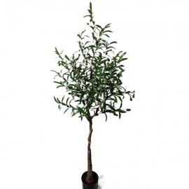 OLIVE TREE NP4817_160_22  ΥΨΟΣ 160cm NewPlan