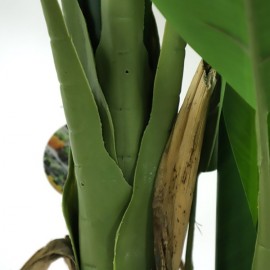 BANANA TREE NP018_280_22 ΥΨΟΣ 280cm NewPlan