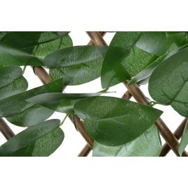 Πτυσσόμενη Πέργκολα MIAMI 100 Χ 200 A127 NewPlan