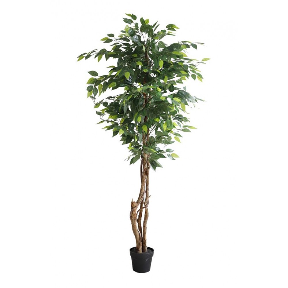 FICUS TREE NP5208_150  ΥΨΟΣ 150cm NewPlan