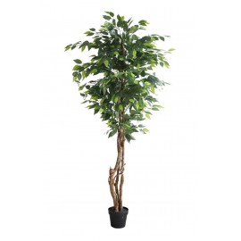 FICUS TREE NP5208_150  ΥΨΟΣ 150cm NewPlan