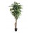 FICUS TREE NP5208_150  ΥΨΟΣ 150cm NewPlan