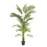 PALM TREE NP5500_240_22 ΥΨΟΣ 240cm NewPlan