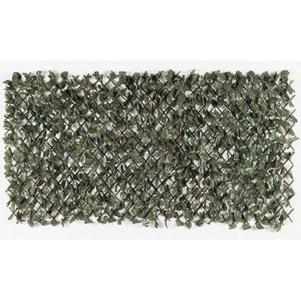 Πτυσσόμενη Πέργκολα ORLANDO 100 Χ 200 MZ186002B NewPlan