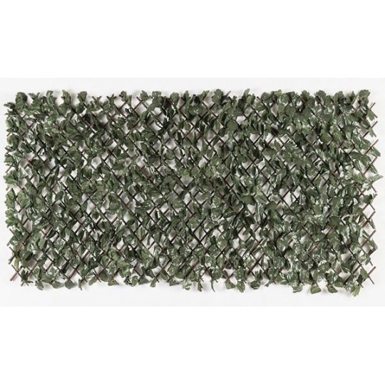 Πτυσσόμενη Πέργκολα ORLANDO 100 Χ 200 MZ186002B NewPlan