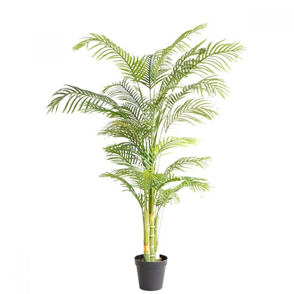 PALM TREE NP5506_180_22 ΥΨΟΣ 180cm NewPlan