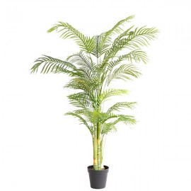 PALM TREE NP5506_180_22 ΥΨΟΣ 180cm NewPlan