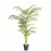 PALM TREE NP5506_180_22 ΥΨΟΣ 180cm NewPlan