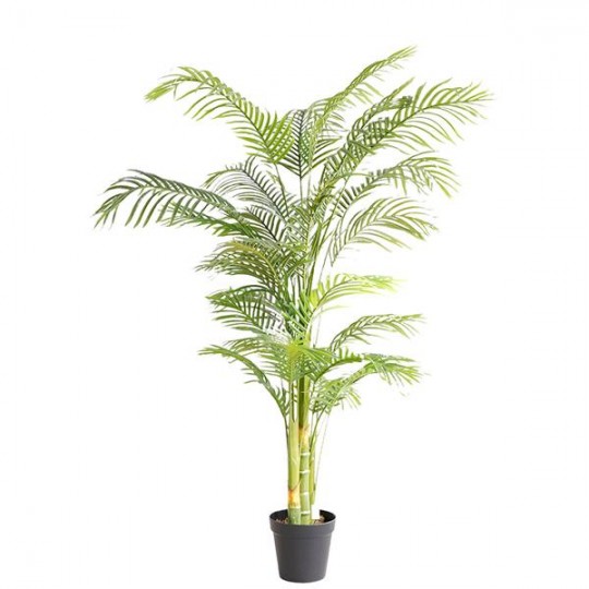 PALM TREE NP5506_180_22 ΥΨΟΣ 180cm NewPlan