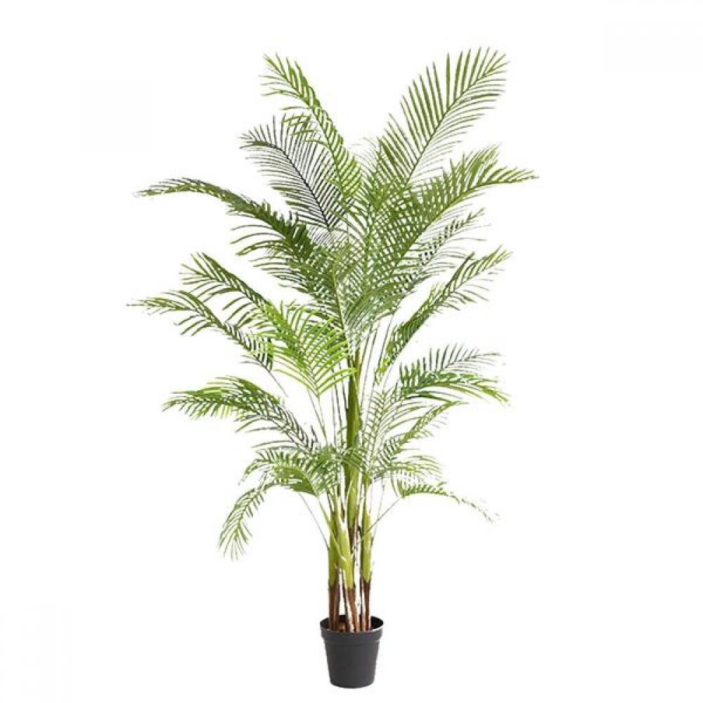 PALM TREE NP5501_210_22 ΥΨΟΣ 210cm NewPlan