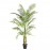 PALM TREE NP5501_210_22 ΥΨΟΣ 210cm NewPlan