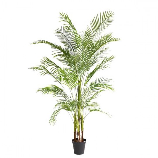 PALM TREE NP5501_210_22 ΥΨΟΣ 210cm NewPlan