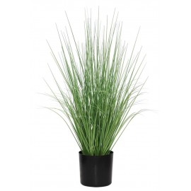 ONION GRASS TREE NP1009_60 ΥΨΟΣ 60cm NewPlan