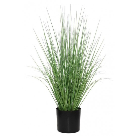 ONION GRASS TREE NP1009_60 ΥΨΟΣ 60cm NewPlan