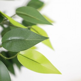 FICUS TREE NP5209_180 ΥΨΟΣ 180cm NewPlan