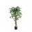 FICUS TREE NP0078_120  YΨΟΣ 120cm NewPlan