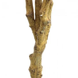 BOUGAINVILLEA NP0421_210 ΥΨΟΣ 210cm NewPlan