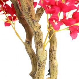 BOUGAINVILLEA NP0421_210 ΥΨΟΣ 210cm NewPlan