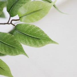 FICUS TREE NP0078_120  YΨΟΣ 120cm NewPlan