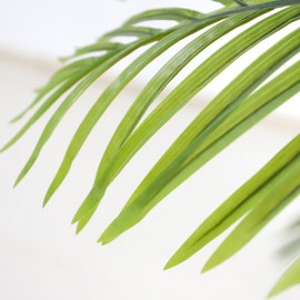 PALM TREE NP0063_120 ΥΨΟΣ 120cm NewPlan