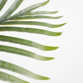 PALM TREE NP5501_210_22 ΥΨΟΣ 210cm NewPlan