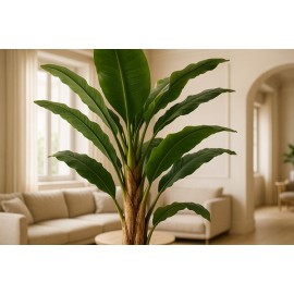 BANANA TREE NP017_240_22 ΥΨΟΣ 240cm NewPlan