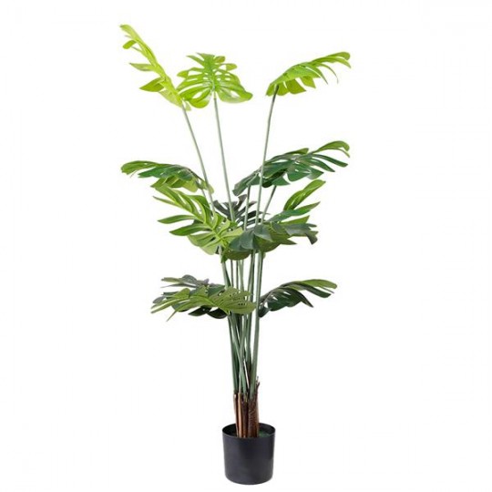 MONSTERA NP6314_155_22  ΥΨΟΣ 155cm NewPlan