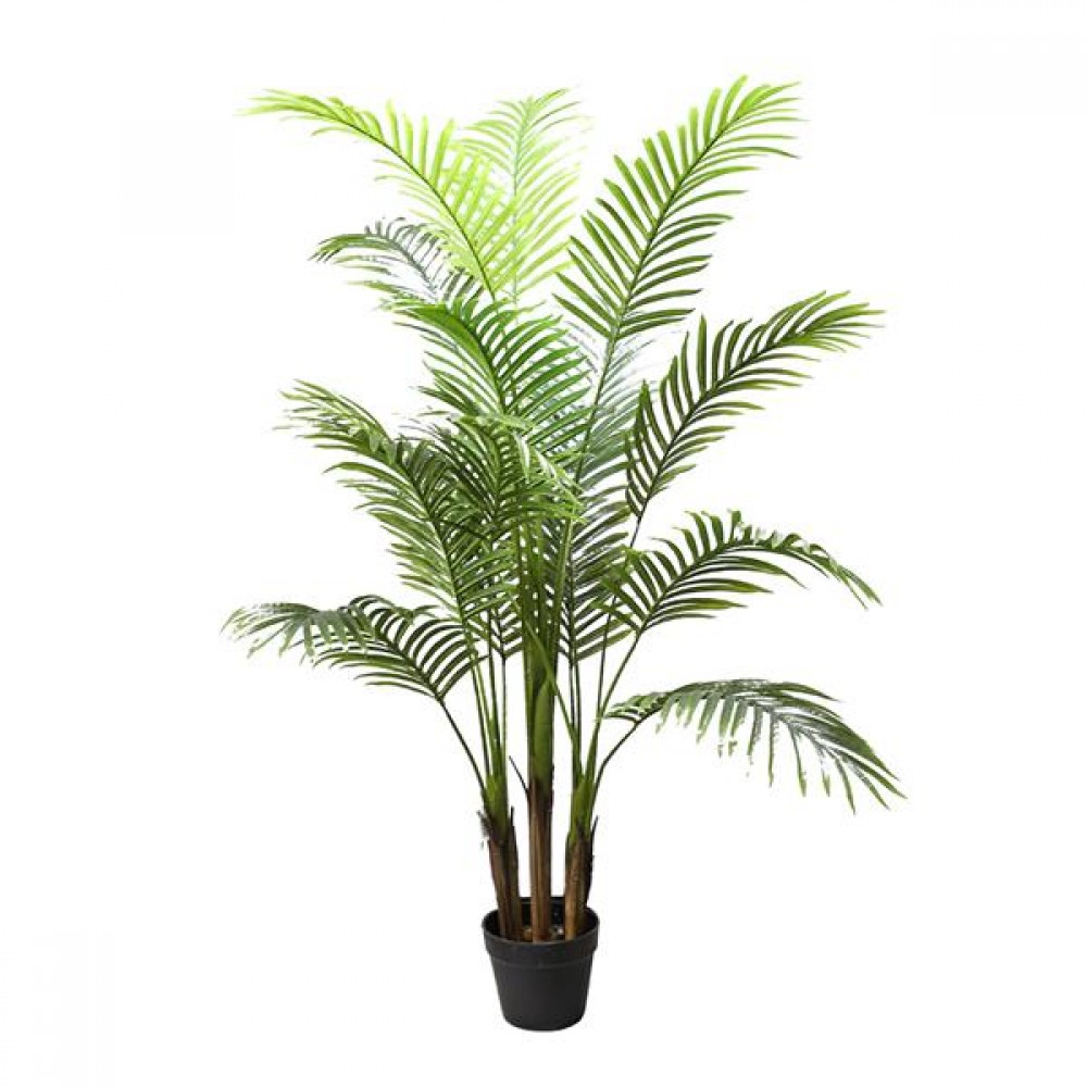 PALM TREE NP5505_150_22 ΥΨΟΣ 150cm NewPlan