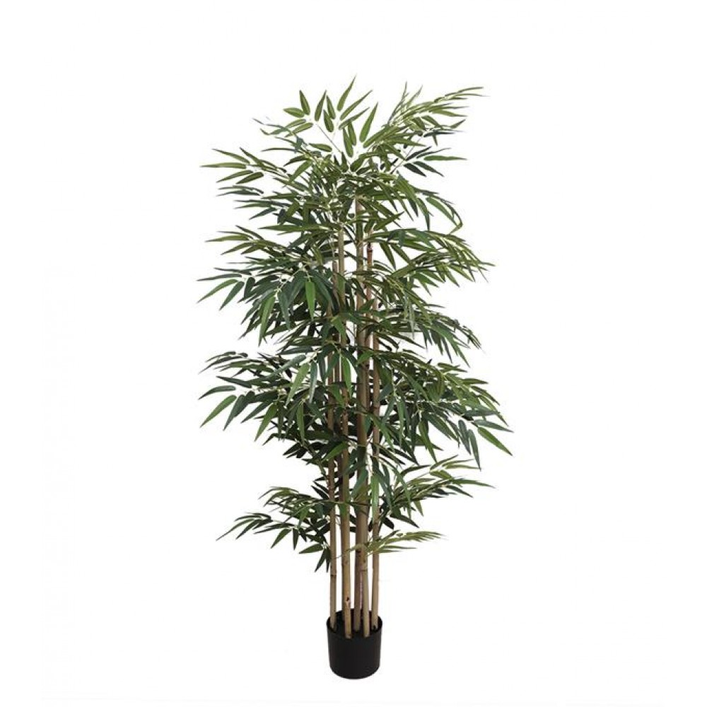 BAMBOO NP824_153 ΥΨΟΣ 153cm NewPlan