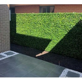 Πάνελ Φυλλωσιας BILBAO 50 Χ 50 F028 SUMMER CHERRY RAIN NewPlan