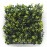 Πάνελ Φυλλωσιας BERLIN 50 Χ 50 A003 BUXUS NewPlan