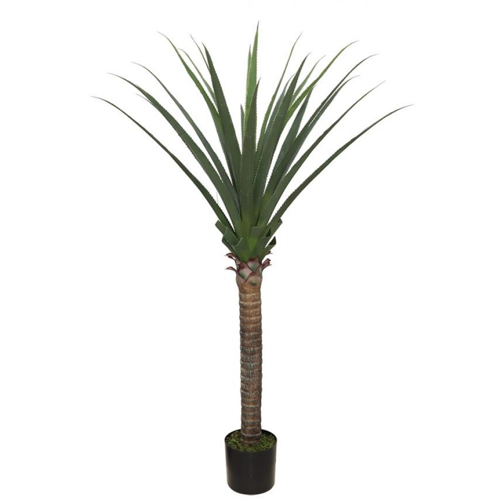 AGAVE TREE NP802_160 ΥΨΟΣ 160cm NewPlan AGAVE TREE NP802_160 ΥΨΟΣ 160cm NewPlan