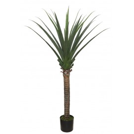 AGAVE TREE NP802_160 ΥΨΟΣ 160cm NewPlan