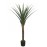 AGAVE TREE NP802_160 ΥΨΟΣ 160cm NewPlan