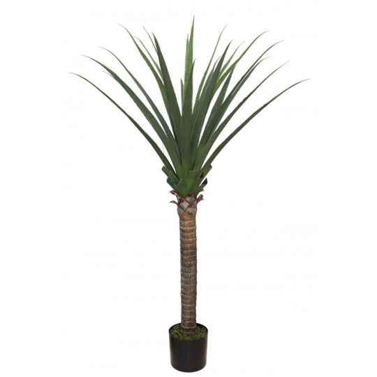 AGAVE TREE NP802_160 ΥΨΟΣ 160cm NewPlan AGAVE TREE NP802_160 ΥΨΟΣ 160cm NewPlan