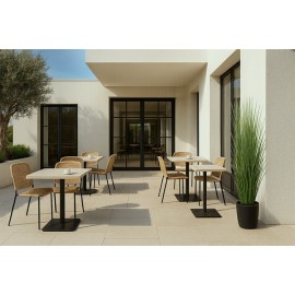 ONION GRASS TREE NP1011_120 ΥΨΟΣ 120cm NewPlan