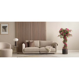 BOUGAINVILLEA NP_34_160 ΥΨΟΣ 160cm NewPlan