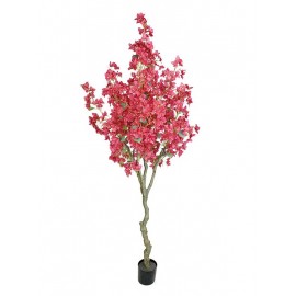 BOUGAINVILLEA NP0421_210 ΥΨΟΣ 210cm NewPlan