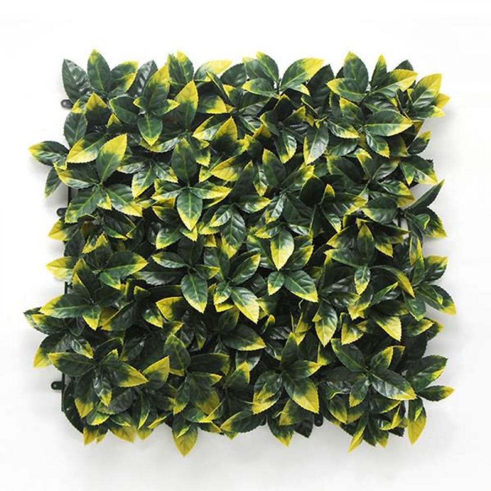 Πάνελ Φυλλωσιας BERLIN 50 Χ 50 A017 PHOTINIA NewPlan