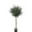 OLIVE TREE NP5807_150_22_UV ΥΨΟΣ 150cm NewPlan