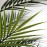 PALM TREE NP160_210_UV ΥΨΟΣ 210cm NewPlan