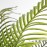 PALM TREE NP5506_180_22 ΥΨΟΣ 180cm NewPlan